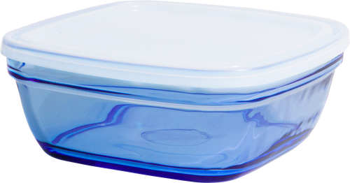 Freshbox - Fuente de conservación Marine cuadrada con Tapa Translúcida (1.15L)